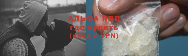 спиды Корсаков