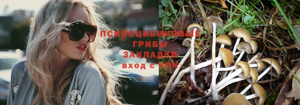2c-b Козловка